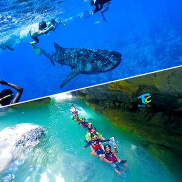 whale shark and canyoneering tour package