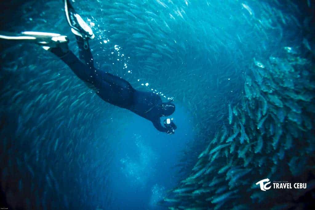 pescador island with sardines